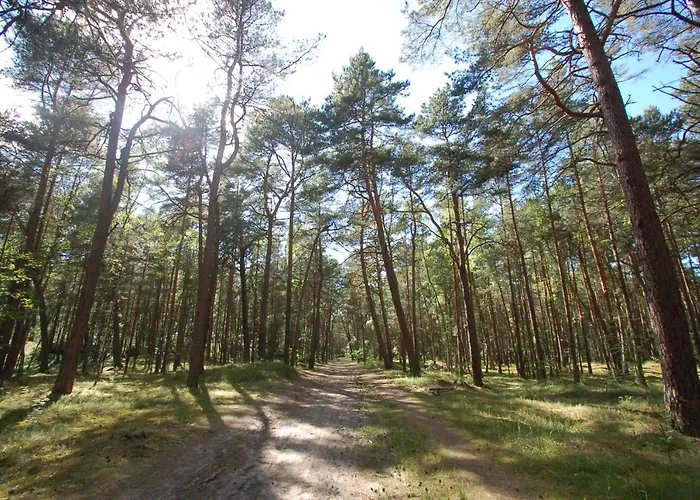 M&k Amber Delux, - Wyspa Sobieszewska *