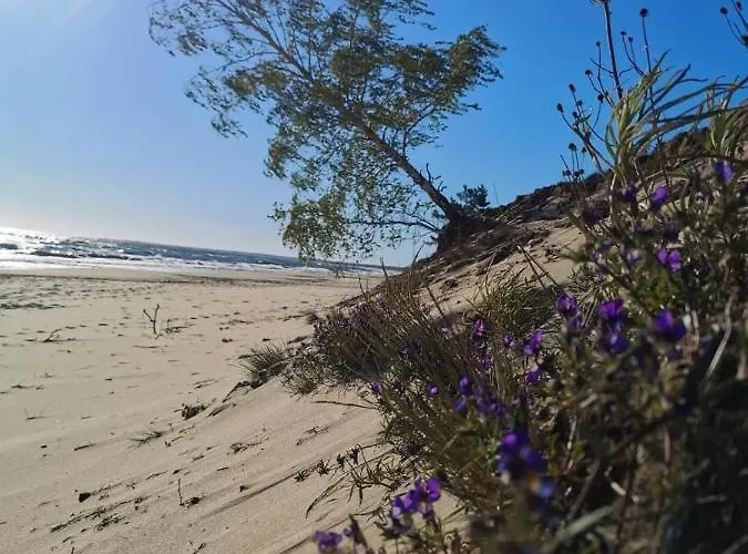 M&k Amber Delux, - Wyspa Sobieszewska Appartamento