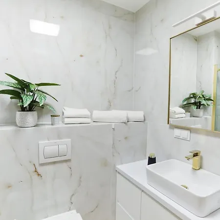 M&k Amber Delux, - Wyspa Sobieszewska 格但斯克