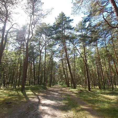 M&k Amber Delux, - Wyspa Sobieszewska *