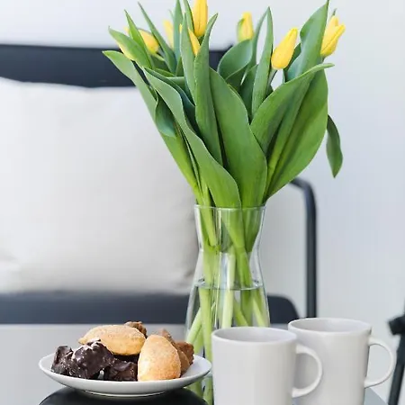 M&k Amber Delux, - Wyspa Sobieszewska Apartment