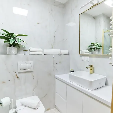 M&k Amber Delux, - Wyspa Sobieszewska 公寓 格但斯克