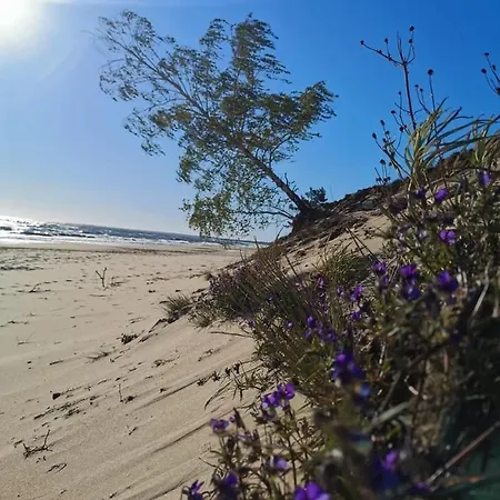 M&k Amber Delux, - Wyspa Sobieszewska 公寓