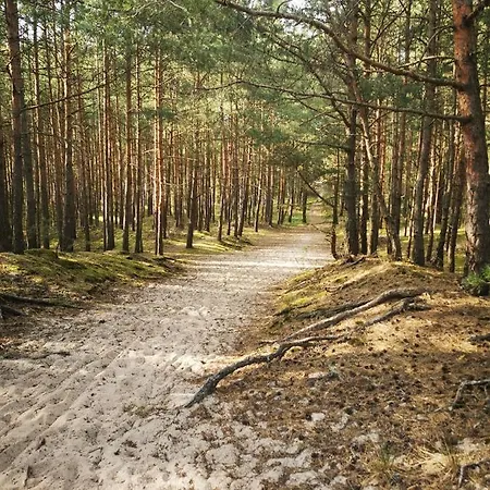 M&k Amber Delux, - Wyspa Sobieszewska Apartmán Gdaňsk