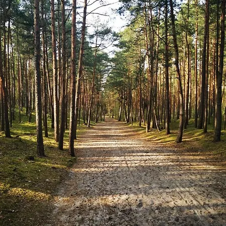 M&k Amber Delux, - Wyspa Sobieszewska Apartmán Gdaňsk