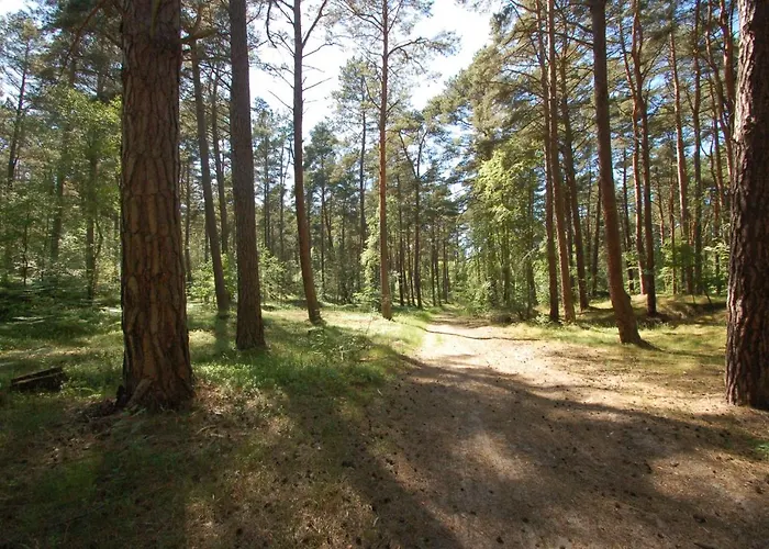 M&k Amber Delux, - Wyspa Sobieszewska Gdańsk