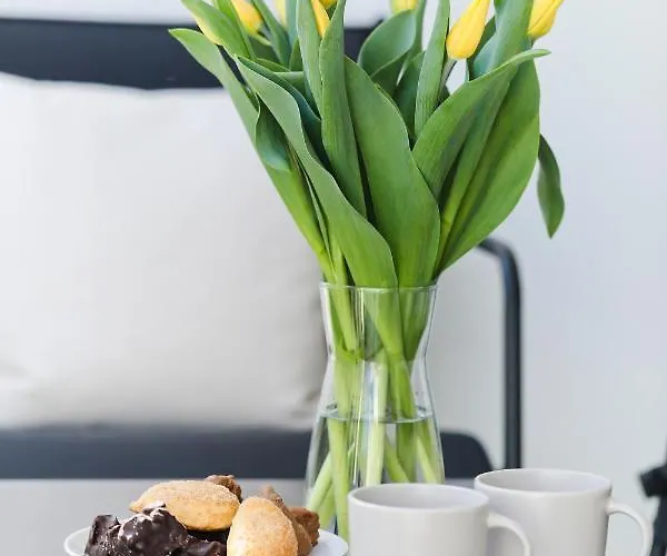 M&k Amber Delux, - Wyspa Sobieszewska Appartement