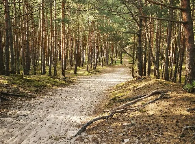 M&k Amber Delux, - Wyspa Sobieszewska Appartement Gdańsk