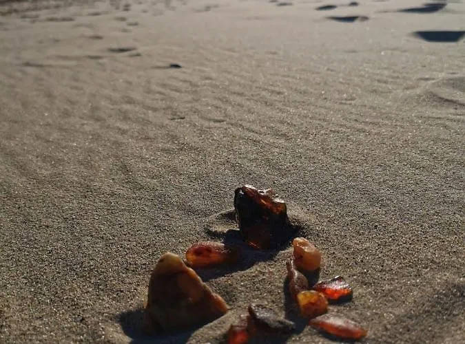 M&k Amber Delux, - Wyspa Sobieszewska