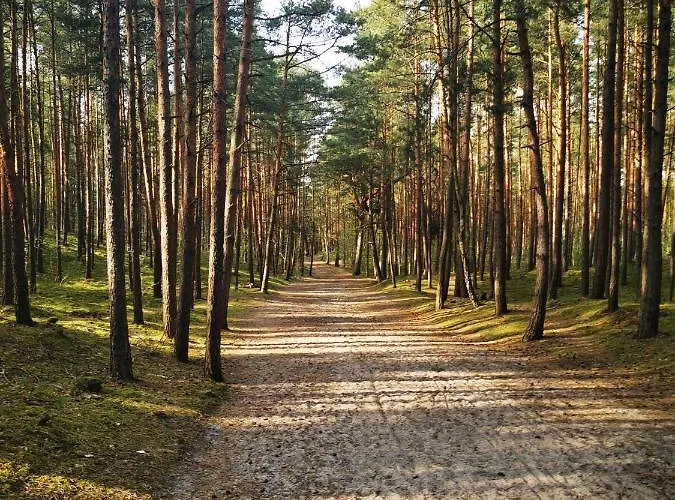 M&k Amber Delux, - Wyspa Sobieszewska Appartement Gdańsk