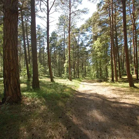 M&k Amber Delux, - Wyspa Sobieszewska Gdańsk